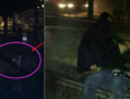 激情野战视频,揭秘极限运动背后的热血与挑战