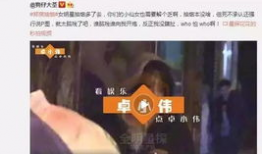 啪啪啪在线视频,一场视觉与心理的双重冲击
