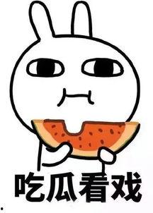 娱乐吃瓜酱算什么行业,揭秘娱乐圈幕后行业风云